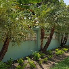 Отель Ocho Rios Villa At Coolshade Iv Монастырь фото 7