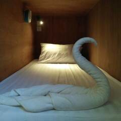 Отель Gecko Republic Jungle Hostel Таиланд, Остров Тау - отзывы, цены и фото номеров - забронировать отель Gecko Republic Jungle Hostel онлайн комната для гостей