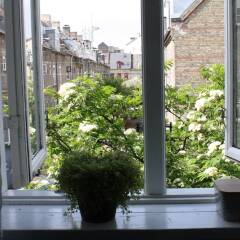 Отель The Little Guesthouse Копенгаген фото 8