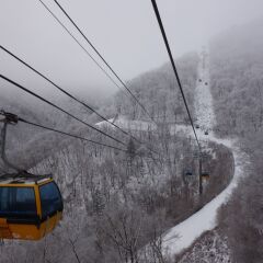 Отель Yongpyong Resort Dragon Valley Hotel Южная Корея, Пхёнчан - отзывы, цены и фото номеров - забронировать отель Yongpyong Resort Dragon Valley Hotel онлайн спа фото 2