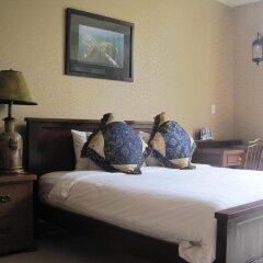 Отель Buffalo Inn Вьетнам, Вунгтау - отзывы, цены и фото номеров - забронировать отель Buffalo Inn онлайн комната для гостей фото 5