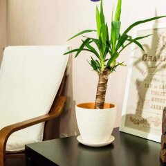 Апартаменты Funny Dolphins Apartments VDNKH удобства в номере