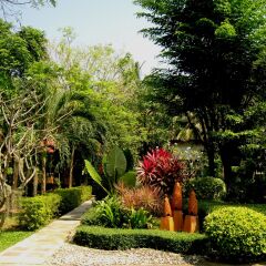Отель Samui Garden Home детские мероприятия
