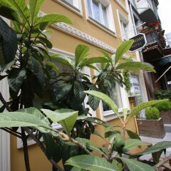 Istanbul Hanedan Hotel Турция, Стамбул - отзывы, цены и фото номеров - забронировать отель Istanbul Hanedan Hotel онлайн фото 18