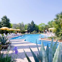 Отель Terme Grand Torino Италия, Абано-Терме - отзывы, цены и фото номеров - забронировать отель Terme Grand Torino онлайн с домашними животными