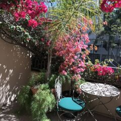 Отель Best Western PLUS Sunset Plaza США, Уэст-Голливуд - отзывы, цены и фото номеров - забронировать отель Best Western PLUS Sunset Plaza онлайн фото 2