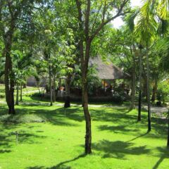 Отель Nam Chau Boutique Resort – Mui Ne Passion фото 6