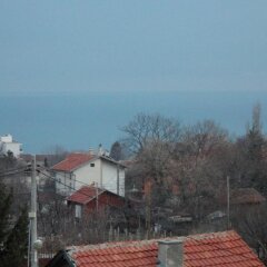 Family Hotel Mira с домашними животными
