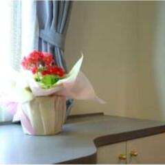Отель Flexstay Inn Shin-Urayasu Ураясу удобства в номере фото 2