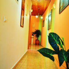 Отель Olympos Pension Родос интерьер отеля фото 3