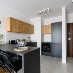 Отель P&O Apartments SOHO Factory Польша, Варшава - отзывы, цены и фото номеров - забронировать отель P&O Apartments SOHO Factory онлайн в номере фото 2