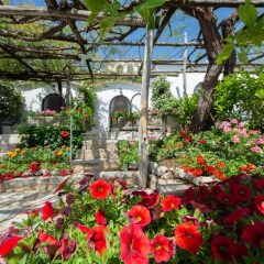 Отель Villa Amore Италия, Равелло - отзывы, цены и фото номеров - забронировать отель Villa Amore онлайн фото 7