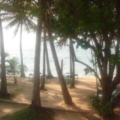 Отель Ypsylon Tourist Resort Шри-Ланка, Берувела - отзывы, цены и фото номеров - забронировать отель Ypsylon Tourist Resort онлайн приотельная территория фото 2