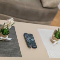 Отель Dositej Apartment Сербия, Белград - отзывы, цены и фото номеров - забронировать отель Dositej Apartment онлайн удобства в номере фото 2