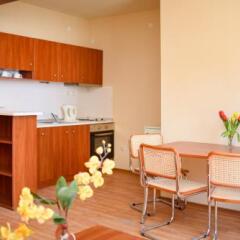 Отель Iglika Apartment Болгария, Золотые пески - отзывы, цены и фото номеров - забронировать отель Iglika Apartment онлайн фото 11