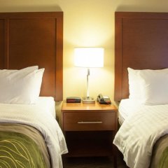Quality Inn & Suites I-40 East in North Little Rock, United States of America from 100$, photos, reviews - zenhotels.com guestroom