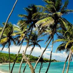 Отель Sugar Reef Bequia фото 5