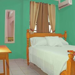 La Flamboyant Hotel in Roseau, Dominica from 107$, photos, reviews - zenhotels.com photo 3