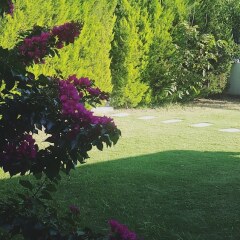Forever Alacati Boutique Hotel - Adults Only Чешме фото 2