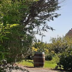 Отель Pier Delle Vigne B&B Италия, Пинето - отзывы, цены и фото номеров - забронировать отель Pier Delle Vigne B&B онлайн фото 4