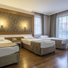 Lonicera City Hotel комната для гостей фото 3