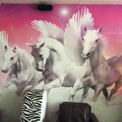 Отель Springtown Lodge с домашними животными