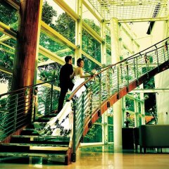 Отель Amara Sanctuary Resort Sentosa детские мероприятия фото 2