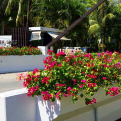 Отель Casuarina Shores пляж