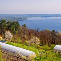 Отель Agriturismo Monterosso Вербания приотельная территория