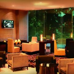 Отель Novotel Kuala Lumpur City Centre Малайзия, Куала-Лумпур - отзывы, цены и фото номеров - забронировать отель Novotel Kuala Lumpur City Centre онлайн развлечения