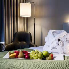 Hotel Birger Jarl в номере фото 2