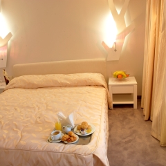Hotel Festa Chamkoria в номере