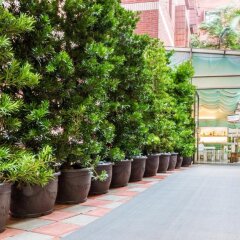 Отель Riverview Suites Taipei