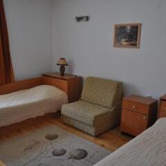 Отель Family Hotel Biju Болгария, Трявна - отзывы, цены и фото номеров - забронировать отель Family Hotel Biju онлайн комната для гостей фото 3