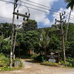 Курортный отель Crystal Wild Panwa Phuket фото 7