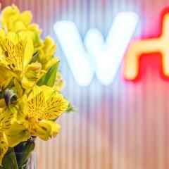 Wellion Vodny Hotel гостиничный бар