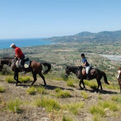 Отель Agriturismo I Moresani Казаль-Велино приотельная территория фото 2