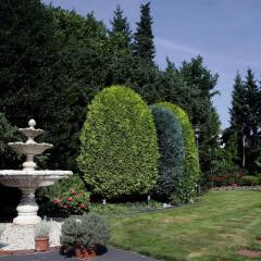 Отель Garten-Hotel Ponick Германия, Кёльн - отзывы, цены и фото номеров - забронировать отель Garten-Hotel Ponick онлайн фото 4