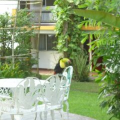 Отель Comfort Inn Palenque Maya Tucán балкон