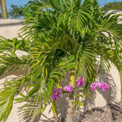Отель Nianna Coral Bay Stunning Townhouse фото 5