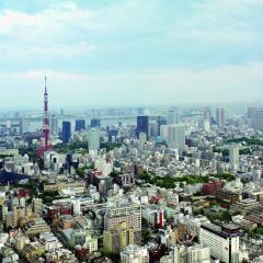 Отель The Ritz Carlton Tokyo Токио фото 9