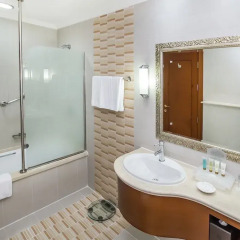 Отель Holiday Inn Bur Dubai Embassy District Дубай ванная