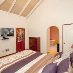 Orchid Palace Villa in Grand Anse, Grenada from 445$, photos, reviews - zenhotels.com guestroom photo 5