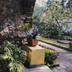 Отель Suites Los Camilos - Adults Only Мексика, Мехико - отзывы, цены и фото номеров - забронировать отель Suites Los Camilos - Adults Only онлайн фото 2