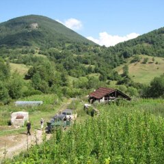 Отель Family Hotel Smolena Болгария, Чепеларе - отзывы, цены и фото номеров - забронировать отель Family Hotel Smolena онлайн фото 20