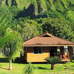 Отель Village Temanoha комната для гостей фото 5
