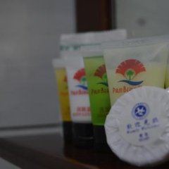 Palm Beach Hotel Dili in Dili, East Timor from 150$, photos, reviews - zenhotels.com room amenities