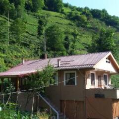 Yesil Doga Tatil Apart Турция, Чамлыхемшин - отзывы, цены и фото номеров - забронировать отель Yesil Doga Tatil Apart онлайн комната для гостей фото 3