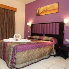 Damon Hotel Apartments комната для гостей