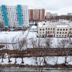 Отель Domumetro Na Tsaritsino Москва